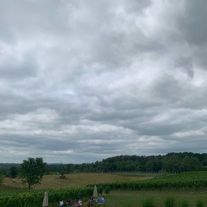 Meet your Posher, Jane